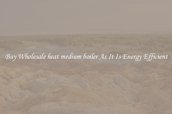 Buy Wholesale heat medium boiler As It Is Energy Efficient