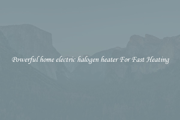 Powerful home electric halogen heater For Fast Heating