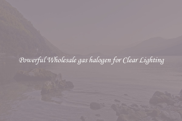 Powerful Wholesale gas halogen for Clear Lighting