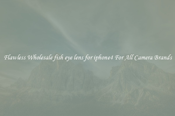 Flawless Wholesale fish eye lens for iphone4 For All Camera Brands