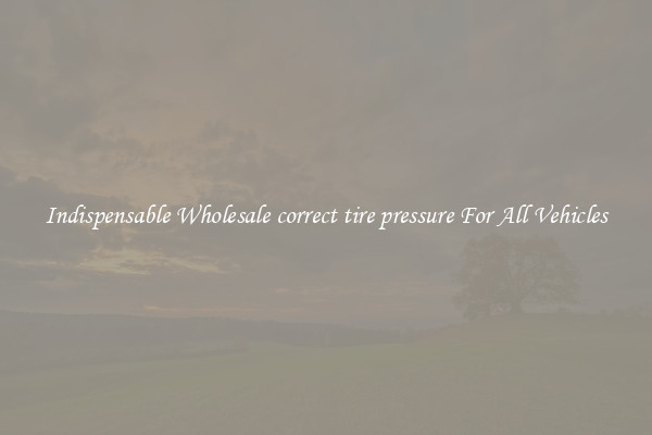 Indispensable Wholesale correct tire pressure For All Vehicles