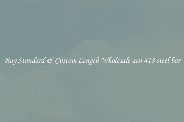 Buy Standard & Custom Length Wholesale aisi 418 steel bar