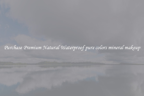 Purchase Premium Natural Waterproof pure colors mineral makeup