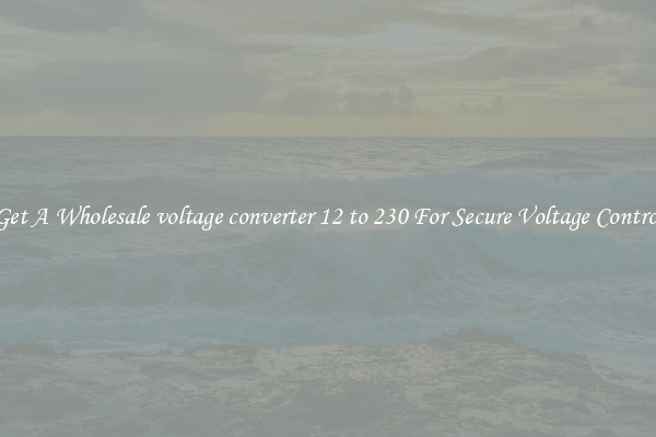 Get A Wholesale voltage converter 12 to 230 For Secure Voltage Control