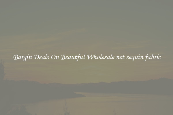 Bargin Deals On Beautful Wholesale net sequin fabric