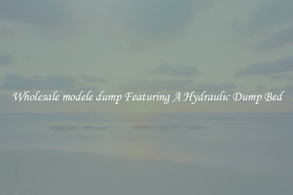 Wholesale modele dump Featuring A Hydraulic Dump Bed