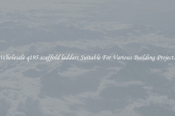 Wholesale q195 scaffold ladders Suitable For Various Building Projects