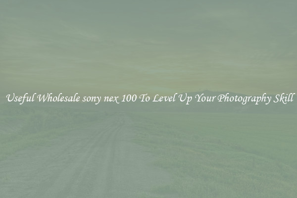Useful Wholesale sony nex 100 To Level Up Your Photography Skill