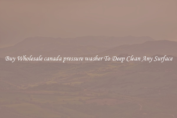 Buy Wholesale canada pressure washer To Deep Clean Any Surface