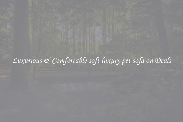 Luxurious & Comfortable soft luxury pet sofa on Deals