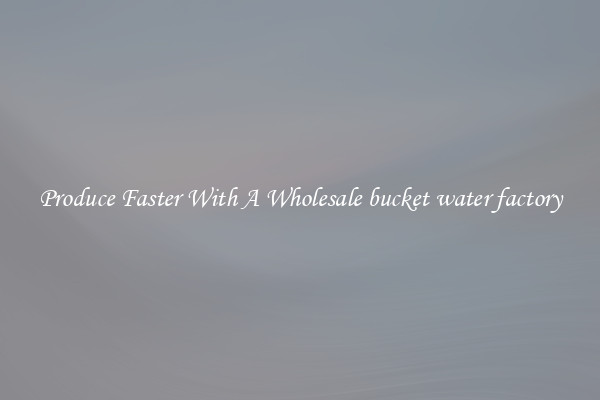 Produce Faster With A Wholesale bucket water factory