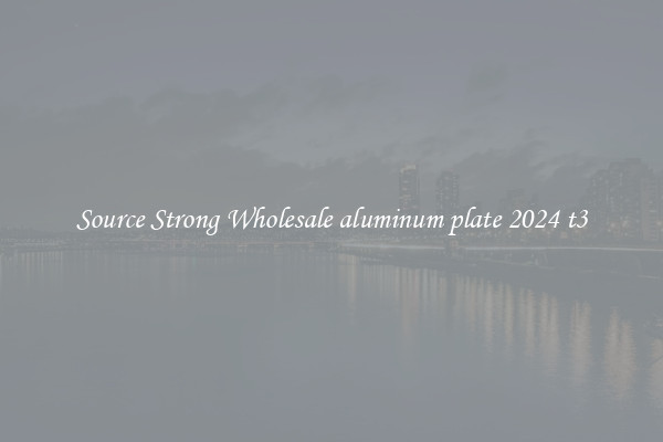 Source Strong Wholesale aluminum plate 2024 t3