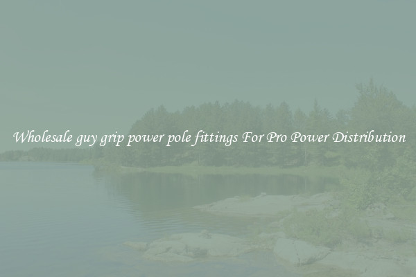 Wholesale guy grip power pole fittings For Pro Power Distribution