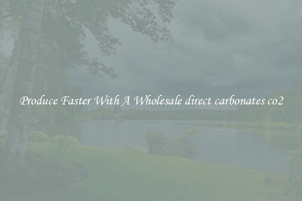 Produce Faster With A Wholesale direct carbonates co2