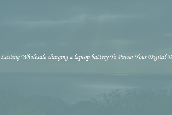 Long Lasting Wholesale charging a laptop battery To Power Your Digital Devices