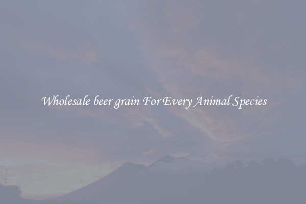 Wholesale beer grain For Every Animal Species