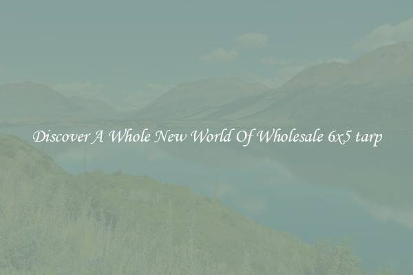 Discover A Whole New World Of Wholesale 6x5 tarp
