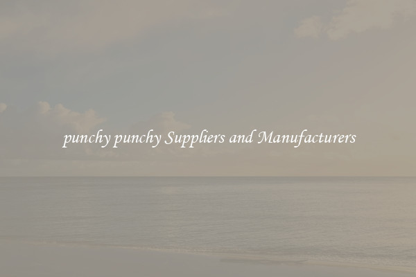 punchy punchy Suppliers and Manufacturers